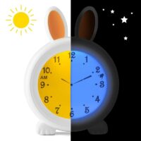 Alecto-unetreener-BC-100-Bunny