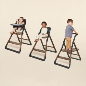 Ergobaby-Evolve-soogitool-3in1-Dark-Wood2