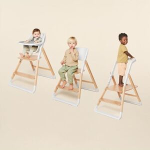 Ergobaby-Evolve-soogitool-3in1-Natural-Wood