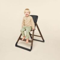 Ergobaby-Evolve-soogitool-Dark-Wood2