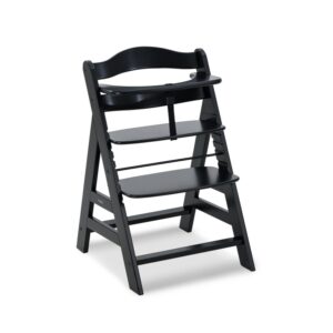 Hauck-soogitool-Alpha-Black