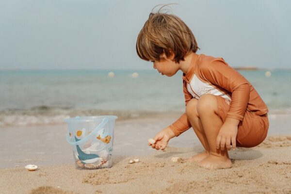 Little-Dutch-rannaamber-Sea-Life1