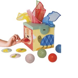 Taf-Toys-arendav-manguasi-Magic-box-1