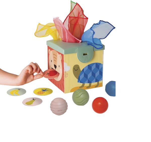 Taf-Toys-arendav-manguasi-Magic-box-1