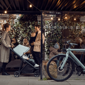 Thule-Shine-Aluminium10