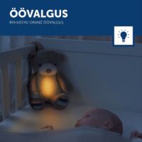 beebirahustaja-bruno-oovalgus