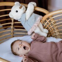whisbear-humming-bear-cyrsensor-girl-1