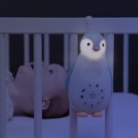 zazu-muusikatoos-zoe