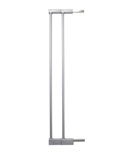 extension_silver-silver_2