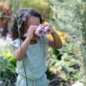 Little-Dutch-binokkel-Fairy-Garden1