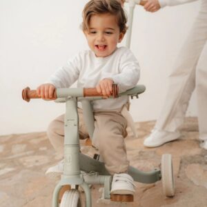 4-in-1-tricycle-green-leaf-ld6080-13-kolme-rattaline-jalgratas