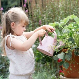 Little-Dutch-kastekann-Fairy-Garden1