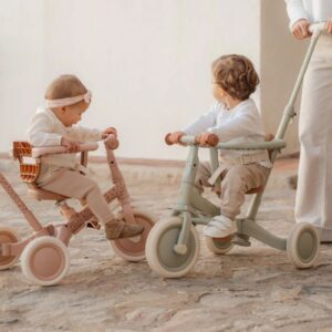 mix-4-in-1-tricycle-ld6080-green-leaf-fairy-floral-sangaga-jalgratas