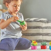 Learning-Resources-Shape-Color-Garden-sorteerimismäng1