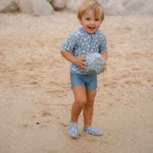Little-Dutch-ujumis-ja-rannasussid-Ocean-Sea-Life1
