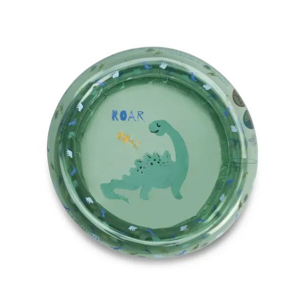 beebibassein-dino