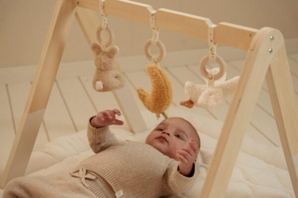 baby-gym-newborn-naturals-ld8410-beebile