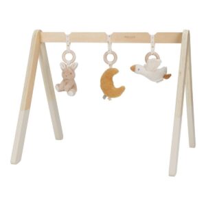baby-gym-newborn-naturals-ld8410-product-mangukaar