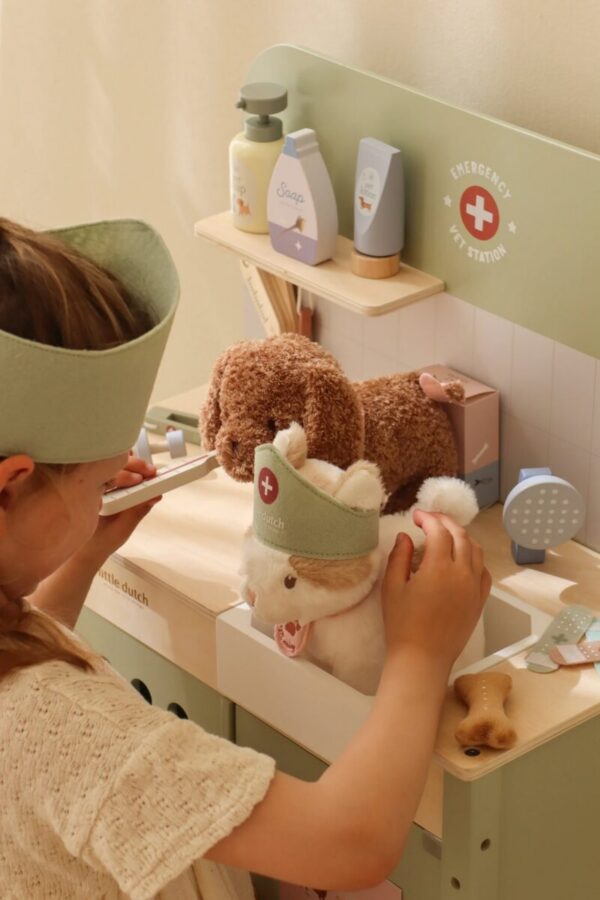 veterinary-practice-ld2546-25-Large