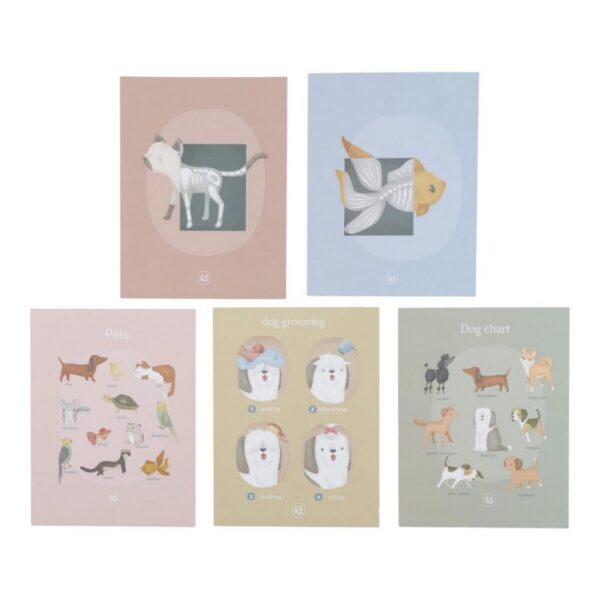 wooden-veterinary-practice-ld2546-product-1-Large-1024x1024