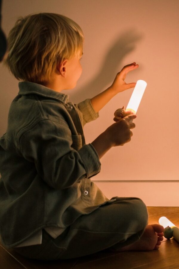 the-zoofamily-laste-lamp-fox-magnetiga