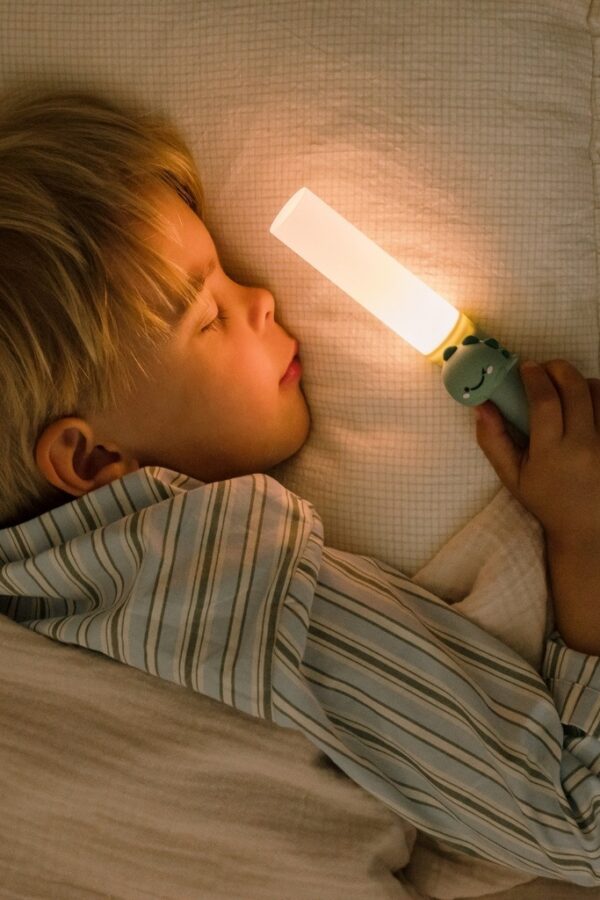 the-zoofamily-zoo-light-dino-oolamp