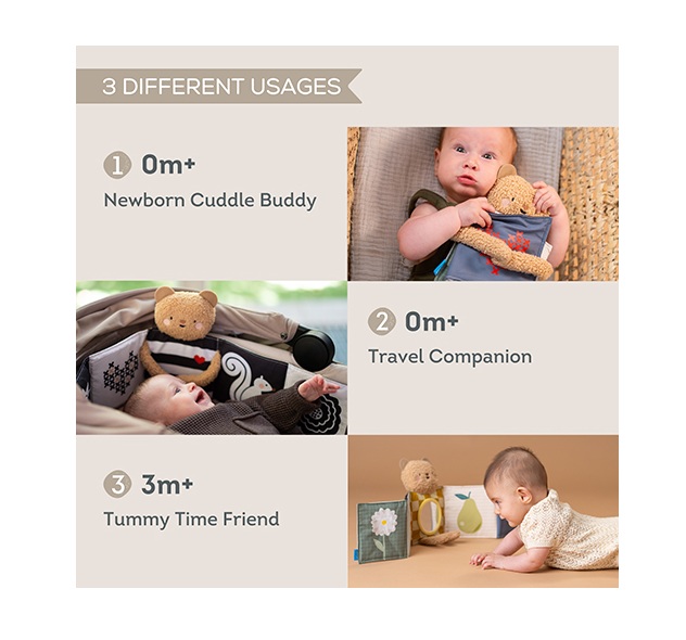 13795 - Snuggle Bear Book amazon main pics 2000x2000