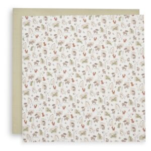 Jollein-musliinlinad-Barn-Buddies-2tk-115x115cm